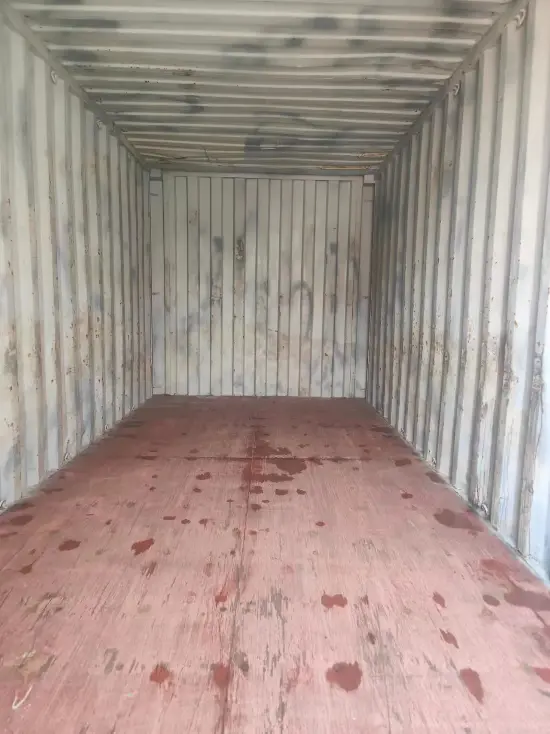 Контейнер 20 футов Dry Van (стандартный), артикул CAIU2100757